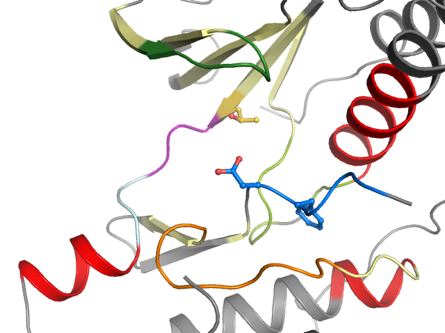 The orthosteric binding pocket