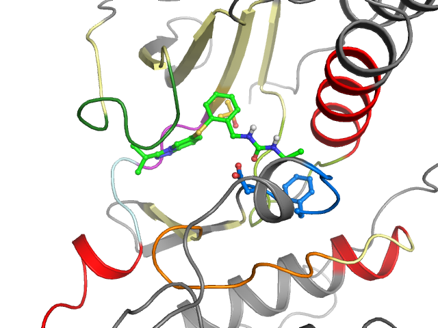The orthosteric binding pocket
