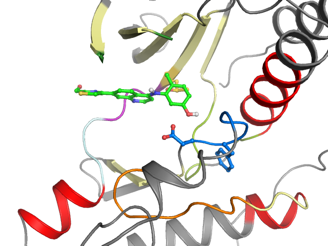 The orthosteric binding pocket