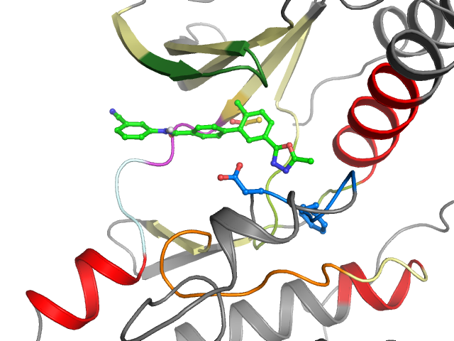 The orthosteric binding pocket