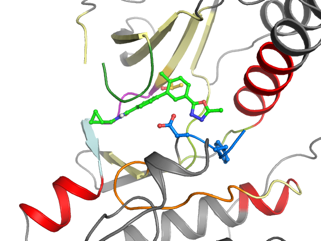 The orthosteric binding pocket