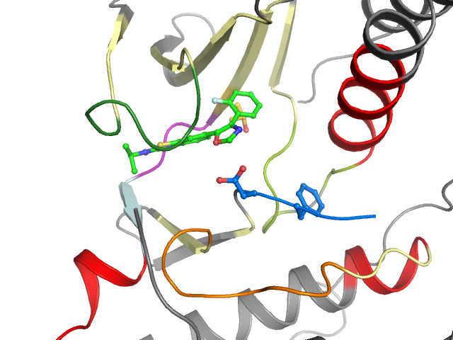 The orthosteric binding pocket
