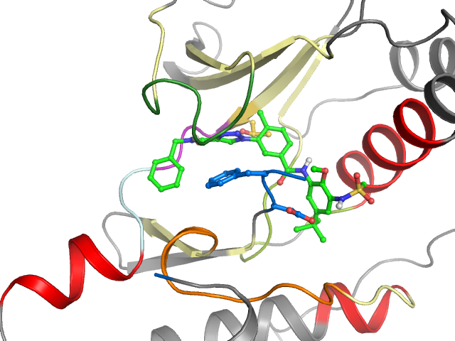 The orthosteric binding pocket