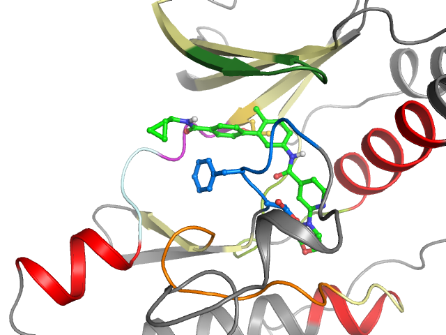 The orthosteric binding pocket