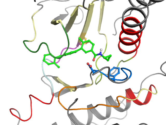The orthosteric binding pocket