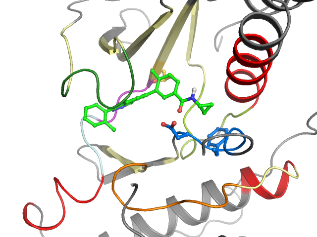 The orthosteric binding pocket