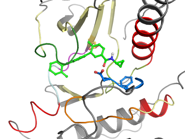 The orthosteric binding pocket