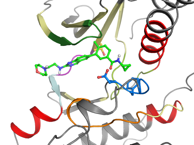 The orthosteric binding pocket