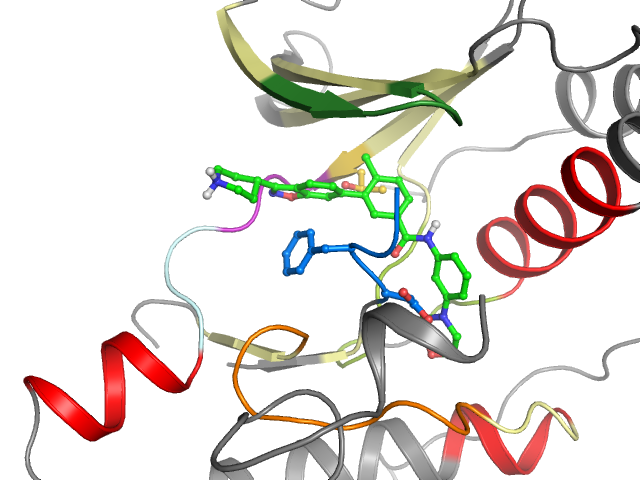 The orthosteric binding pocket