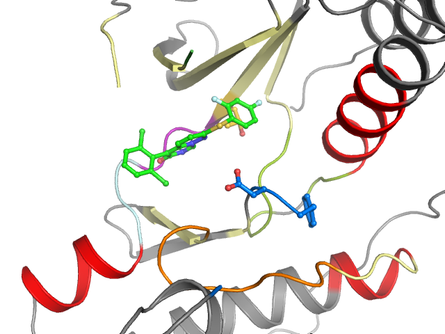 The orthosteric binding pocket