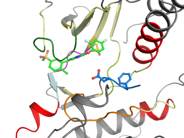 The orthosteric binding pocket