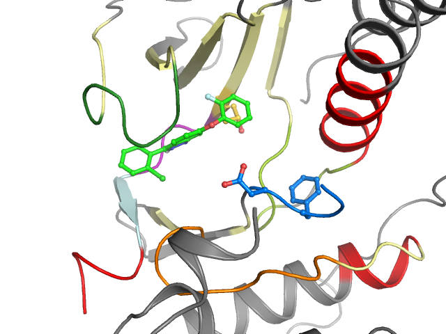 The orthosteric binding pocket
