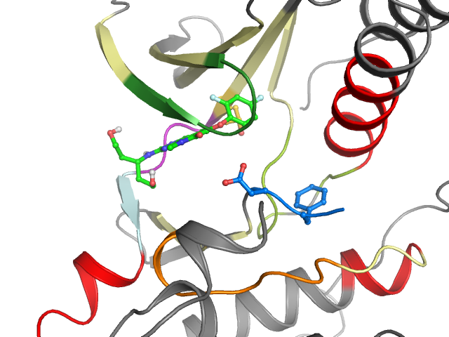 The orthosteric binding pocket