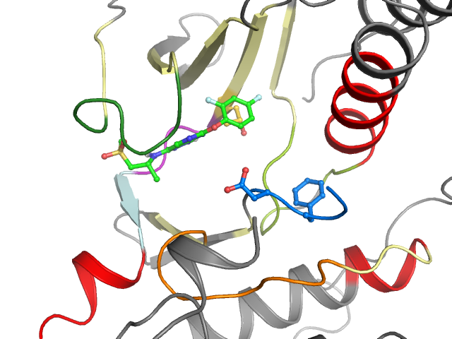 The orthosteric binding pocket
