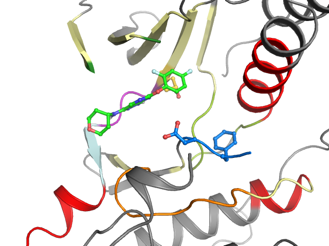 The orthosteric binding pocket