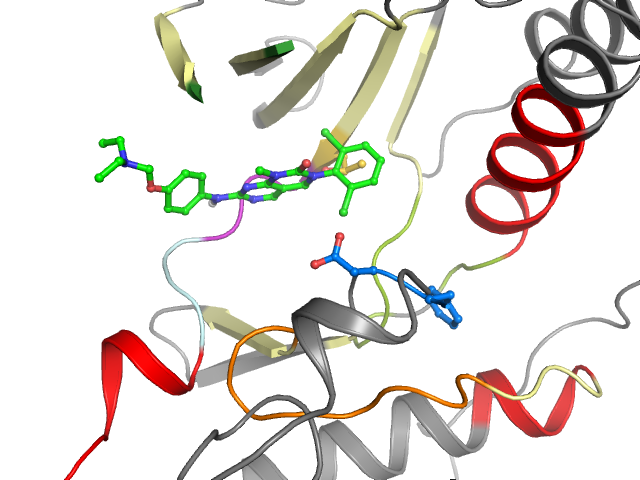 The orthosteric binding pocket