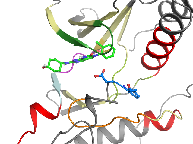 The orthosteric binding pocket