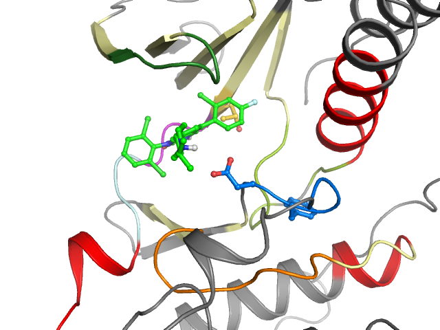 The orthosteric binding pocket
