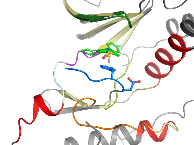 The orthosteric binding pocket