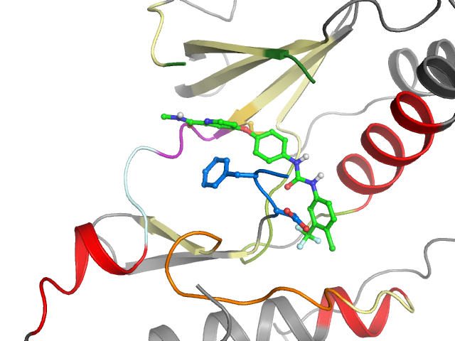 The orthosteric binding pocket