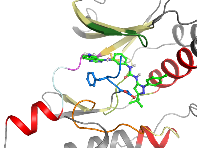 The orthosteric binding pocket