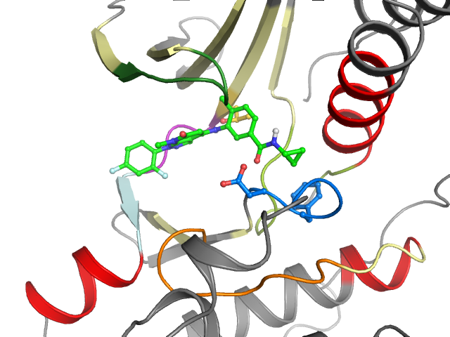 The orthosteric binding pocket