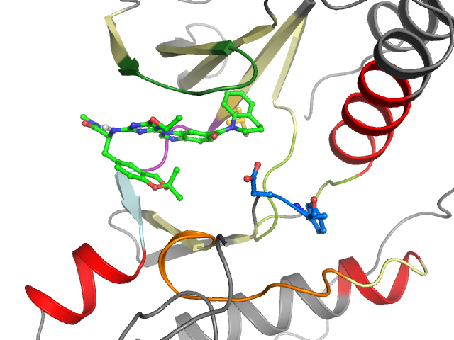 The orthosteric binding pocket