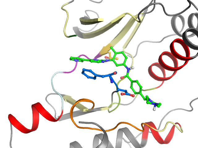 The orthosteric binding pocket