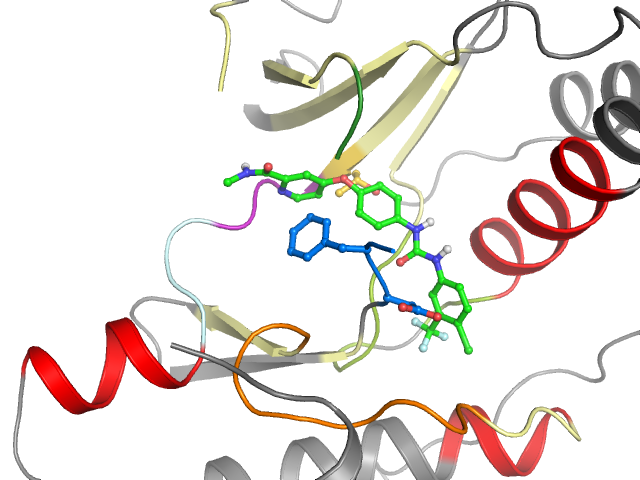 The orthosteric binding pocket