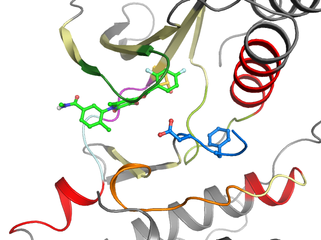 The orthosteric binding pocket