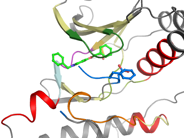 The orthosteric binding pocket