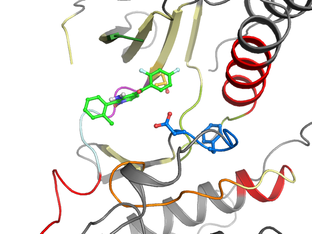 The orthosteric binding pocket