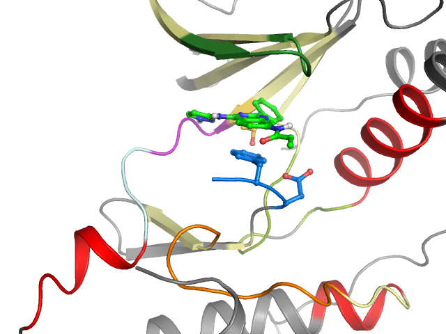The orthosteric binding pocket
