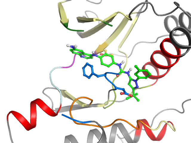The orthosteric binding pocket