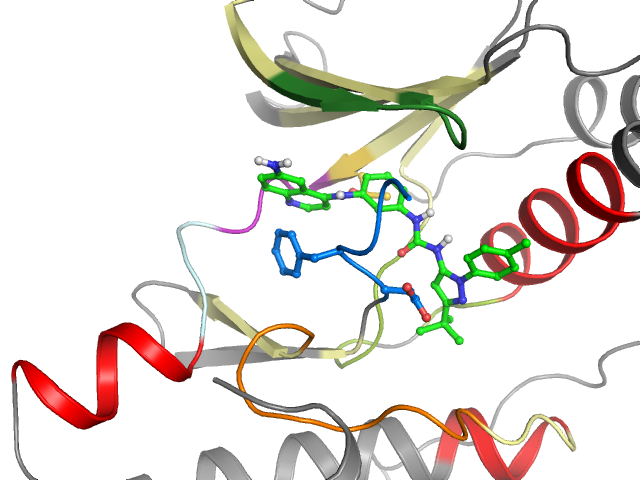 The orthosteric binding pocket