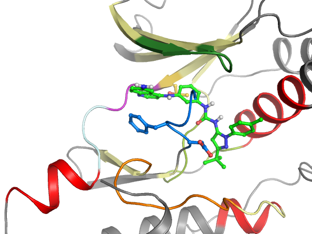 The orthosteric binding pocket