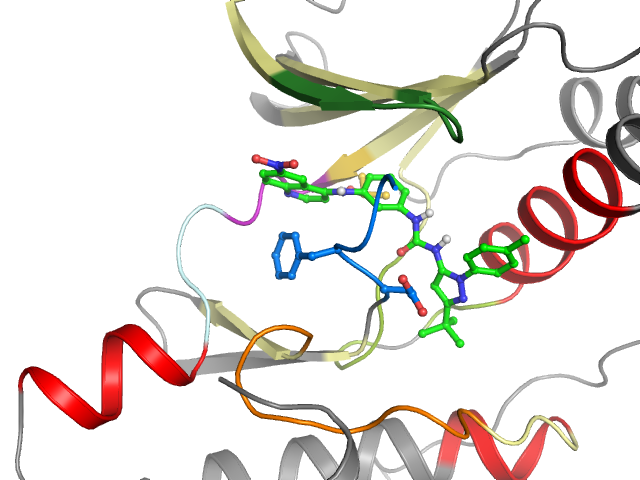 The orthosteric binding pocket