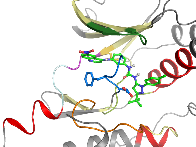 The orthosteric binding pocket