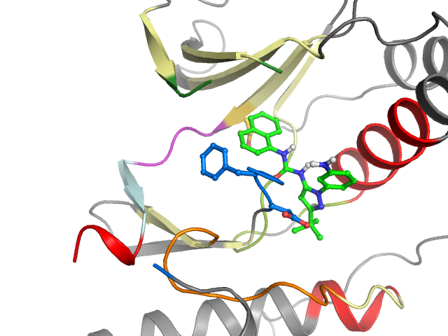 The orthosteric binding pocket