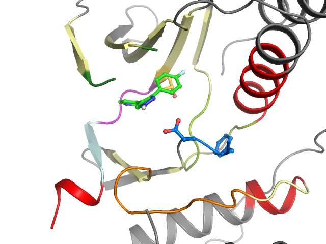 The orthosteric binding pocket
