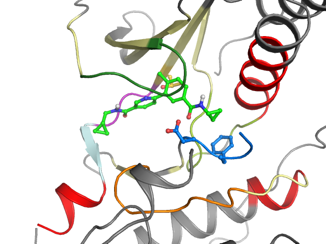 The orthosteric binding pocket
