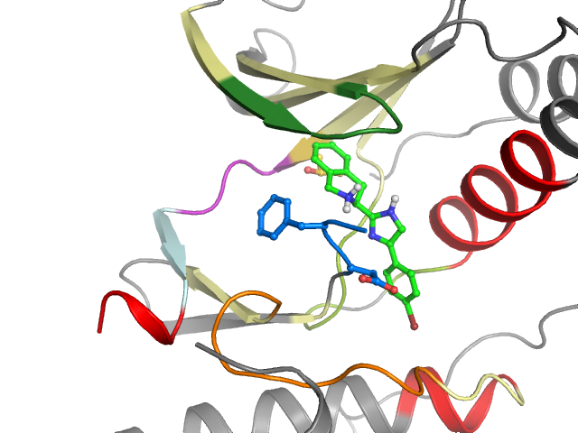 The orthosteric binding pocket