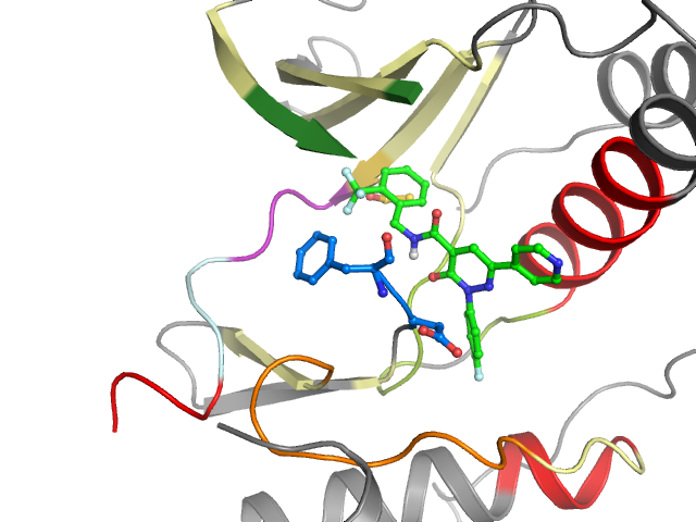 The orthosteric binding pocket