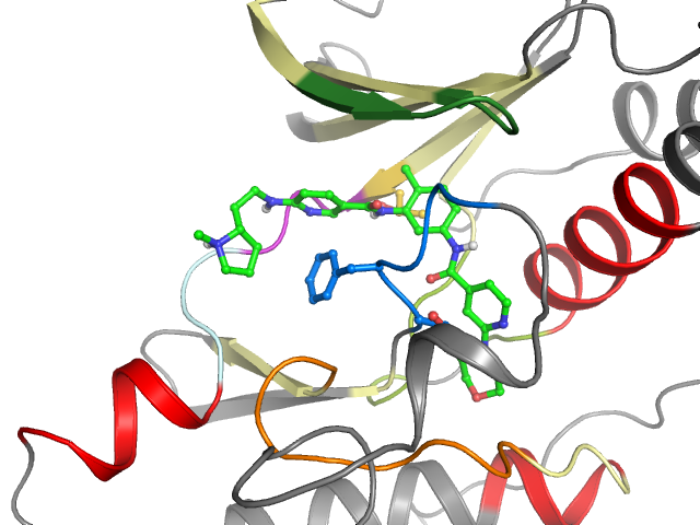 The orthosteric binding pocket