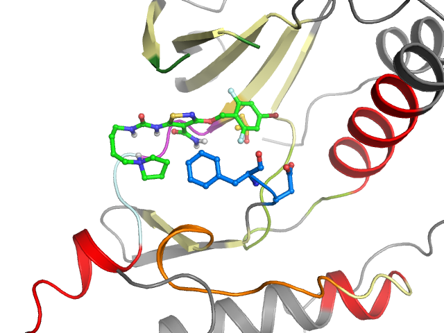 The orthosteric binding pocket