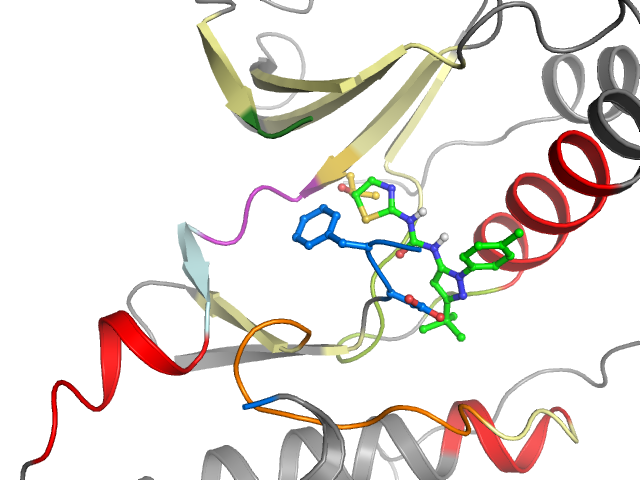 The orthosteric binding pocket