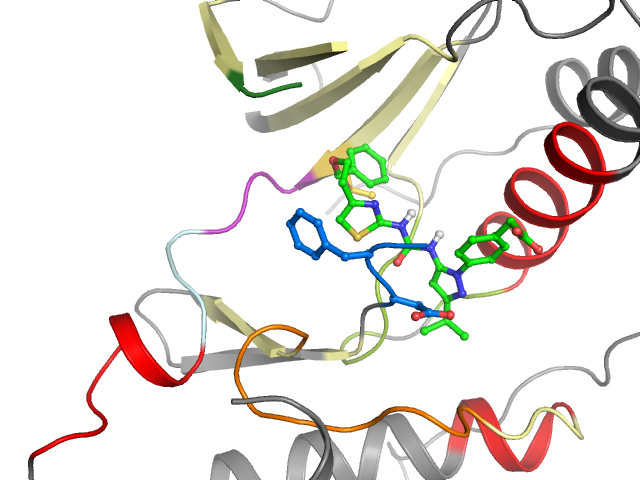 The orthosteric binding pocket