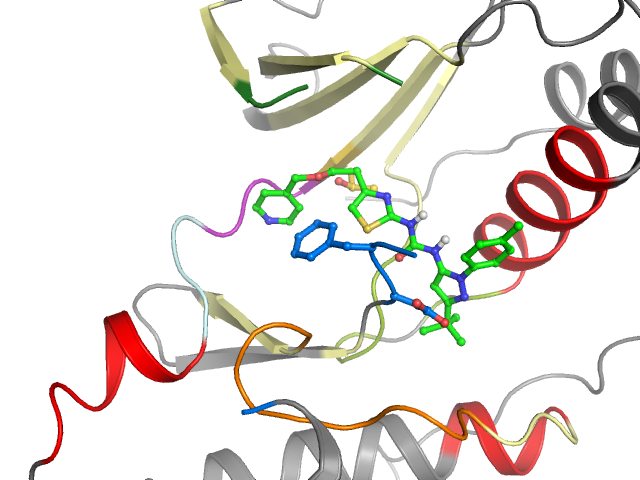 The orthosteric binding pocket