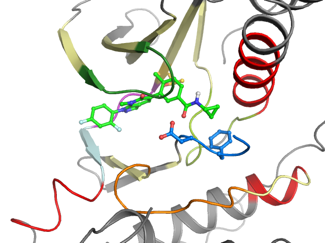 The orthosteric binding pocket