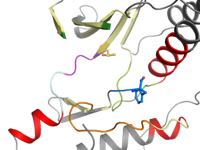 The orthosteric binding pocket